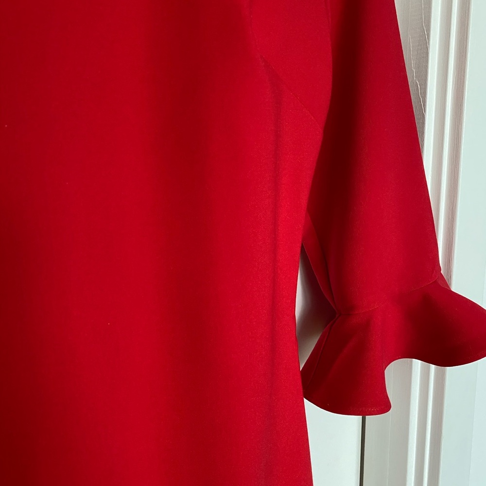 BEDFORD DRESS - Picture 4 of 5